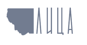 Лица logo